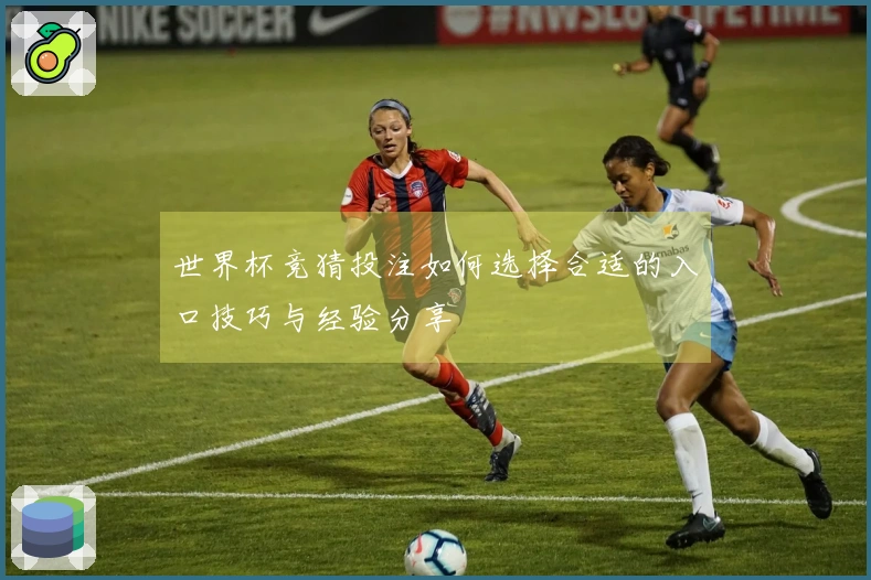 世界杯竞猜投注如何选择合适的入口技巧与经验分享