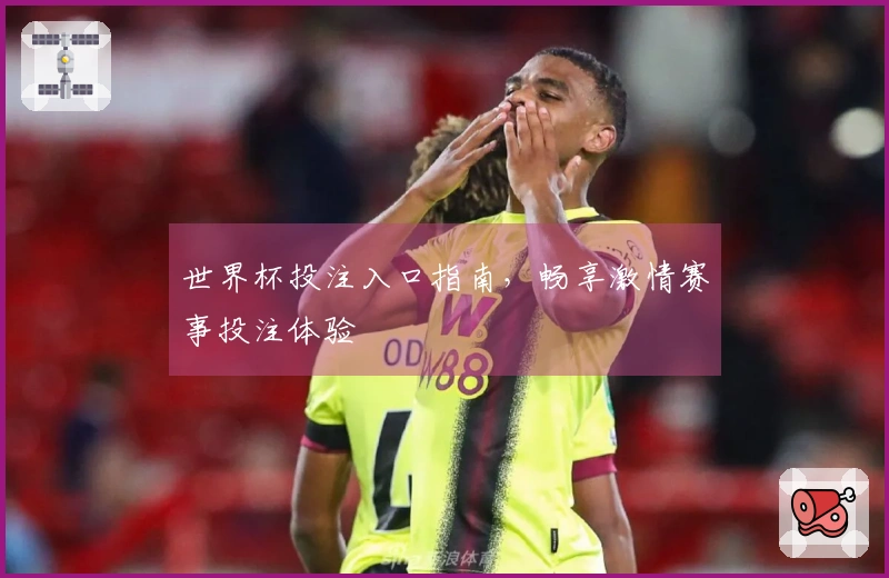 世界杯投注入口指南，畅享激情赛事投注体验
