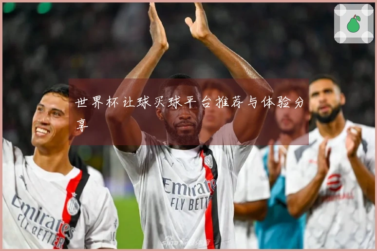 世界杯让球买球平台推荐与体验分享