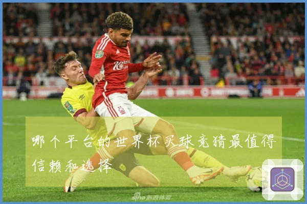 哪个平台的世界杯买球竞猜最值得信赖和选择